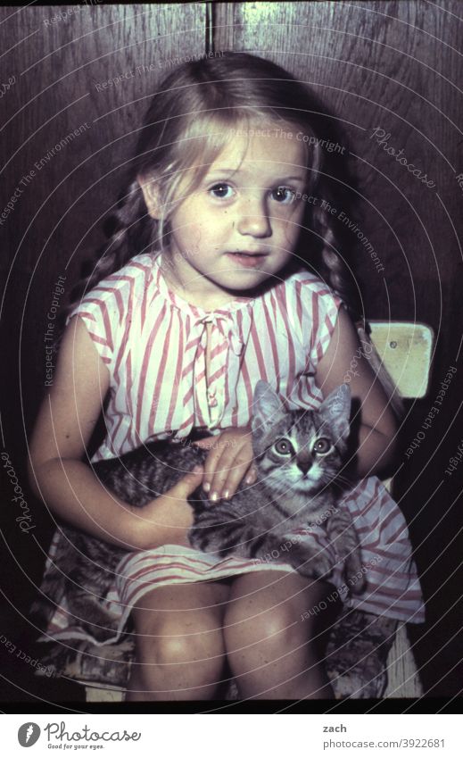 Freunde Kind Kindheit Mädchen analog Dia Scan Tier Katze Zopf Zöpfe Blick in die Kamera sitzen Kleinkind