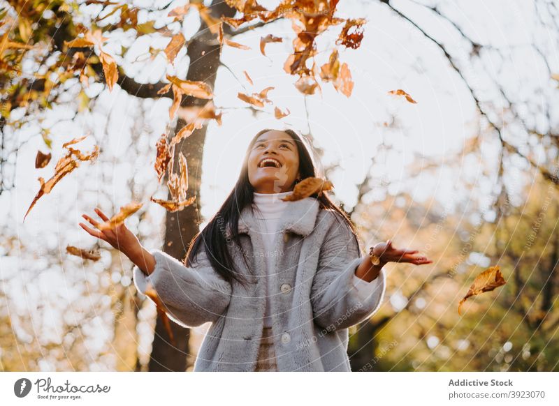 Entzückte ethnische Frau wirft Blätter im Herbst Park werfen Blatt fallen Laubwerk heiter sorgenfrei Spaß haben warm Mantel sonnig Saison Freude jung Optimist