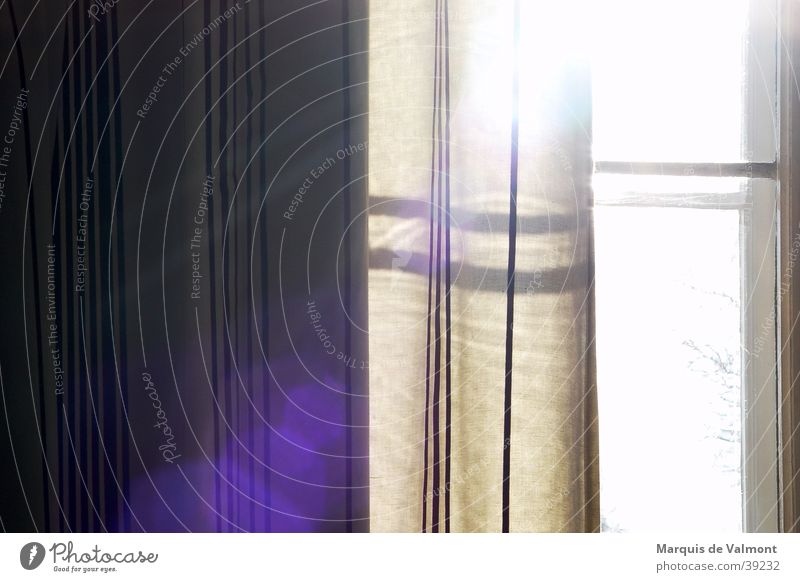 Am Nachmittag Vorhang Gegenlicht Stimmung Fenster Fensterkreuz Häusliches Leben Sonne Reflexion & Spiegelung Kontrast Strukturen & Formen Seil
