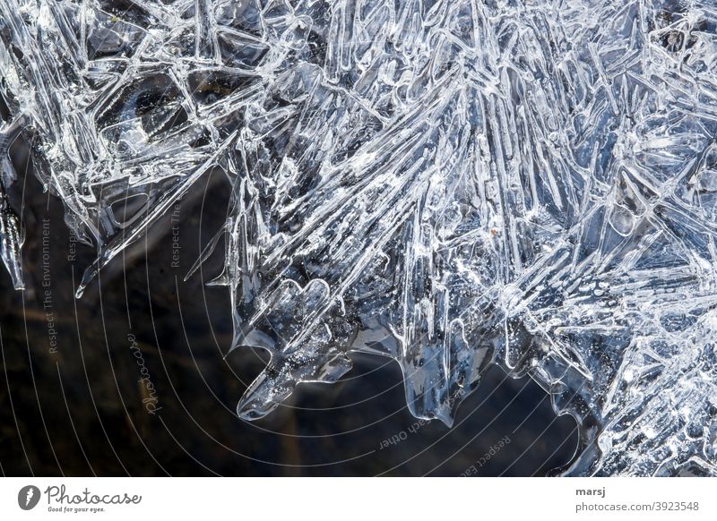 Eisstrukturen auf einer Pfütze Strukturen & Formen gefroren kalt Winter abstrakt Natur Frost Gedeckte Farben Eisfläche natürlich Vogelperspektive
