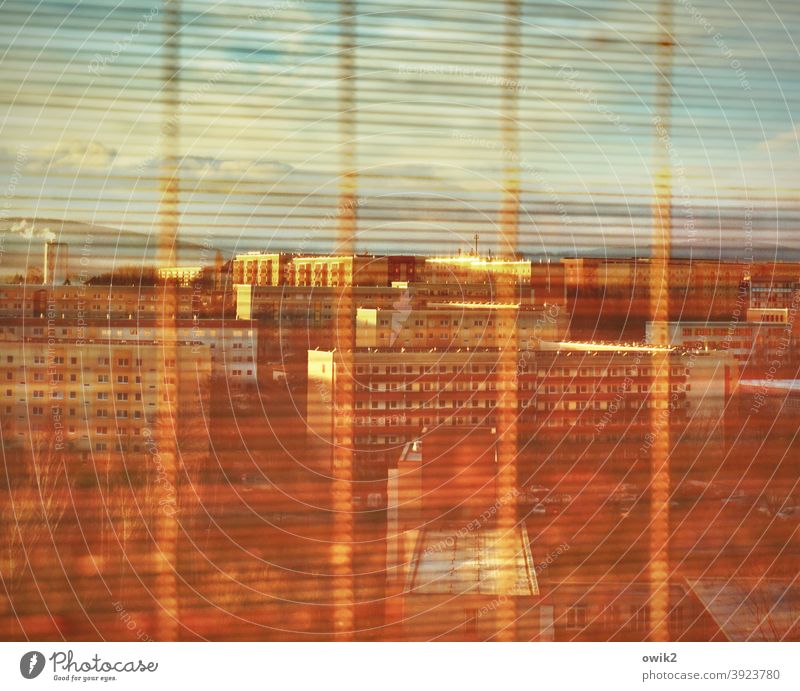 Durch die Lamellen Bambusrollo Jalousie Rollo Durchblick Fensterscheibe Glas Detail Aussicht Detailaufnahme dünn durchsichtig häusliches Leben durchscheinend