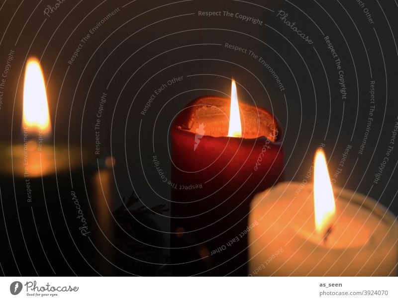 Kerzen brennend Flamme hell leuchtend drei Advent Rot weiss Andacht Stimmung Romantik Kirche Farbe Docht Wachs Adventskranz dunkel Weihnachten & Advent