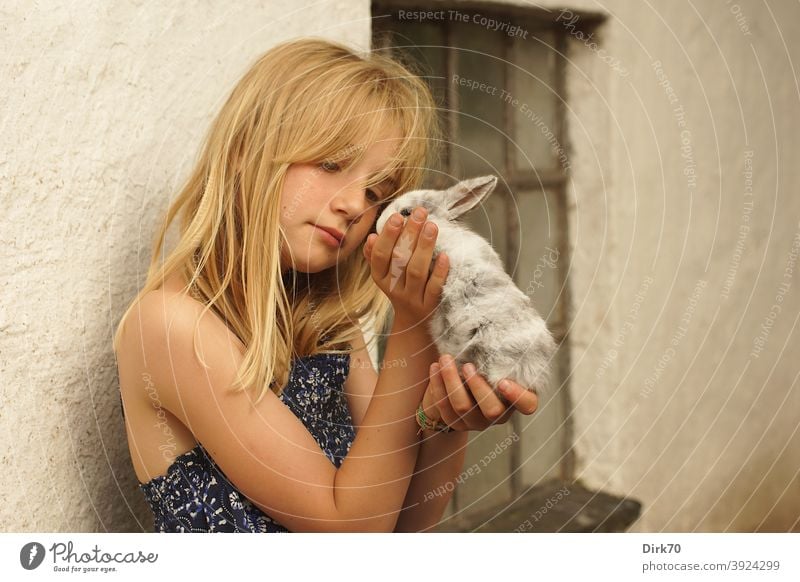 Junges Mädchen mit Kaninchen junges Mädchen mädchenhaft romantisch liebevoll Tierliebe Tierfreund Tierfreundschaft zart Zärtlichkeit zärtlich klein niedlich