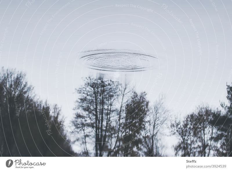 die fliegen wieder UFO Sichtung Aliens außerirdisch Raumfahrzeug Außerirdische grau ungewiss Ungewissheit rätselhaft irreal mysteriös unheimlich bedenklich