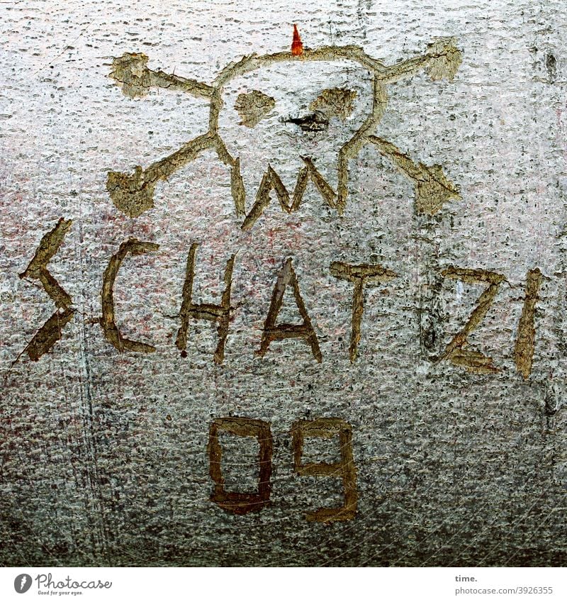 Liebeserklärung totenkopf grafitti baum strandgut schrift ritzung zeichnung Schatzi buchstaben Tattoo totholz rinde baumstamm