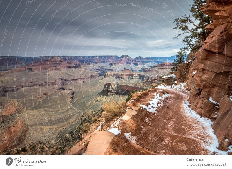Der Weg hinab ins Grand Canyon Tiefe Ferne Weite Horizont Felsen Steine Pflantze Schlucht Landschaft Natur Trails Wanderwege Wege und Pfade Kiefer Wolken Schnee