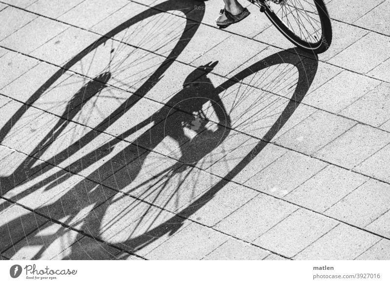 Dreirad und ein Fuss Fahrrad Fuß Pflaster licht Schatten Schwarzweißfoto Außenaufnahme Straße Tag Verkehr Straßenverkehr Kontrast