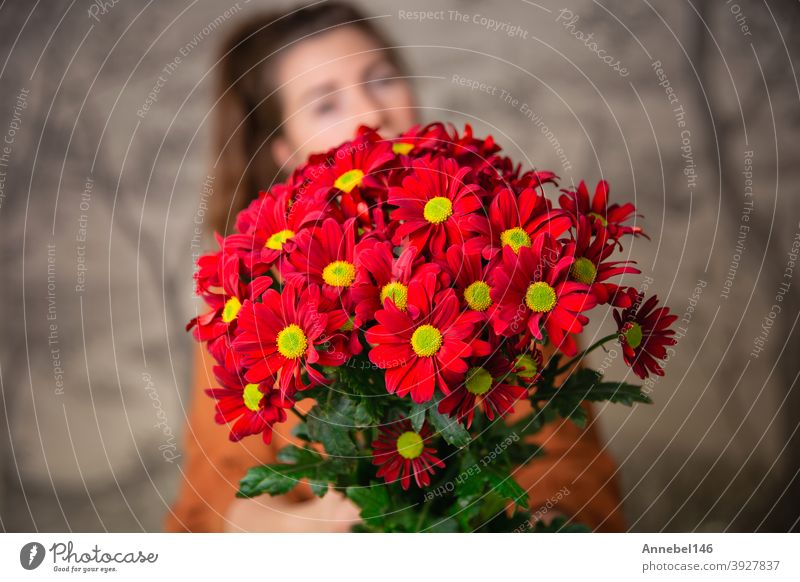 Geschenke, Feier und Zärtlichkeit Konzept. Überrascht niedliche junge Frau hält einen Strauß roter Blumen, Gänseblümchen für Valentinstag oder Geburtstag, romantischen Hintergrund
