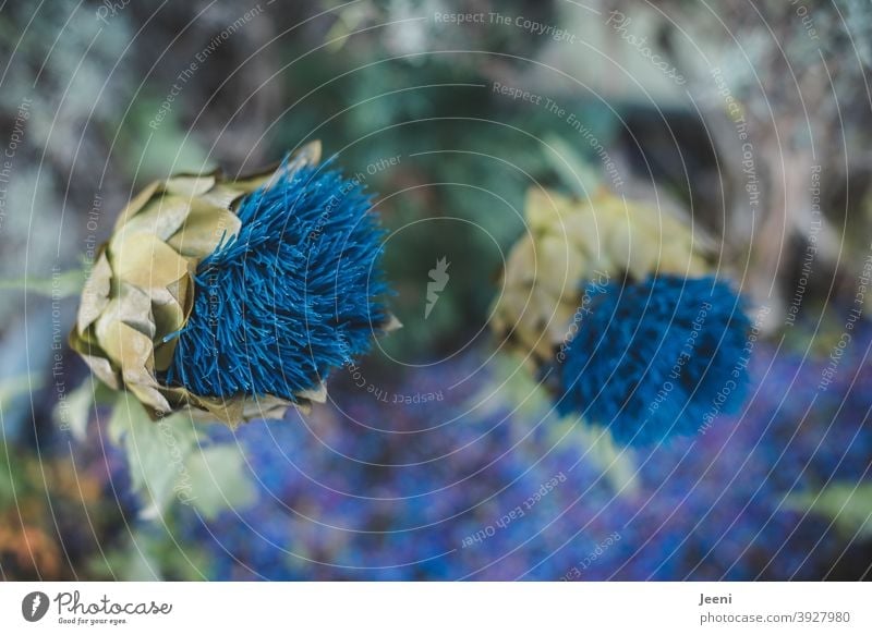 Blaue Blumen vor weichem Hintergrund blau Pflanze Blüte trashig Dekoration & Verzierung Kunstblume