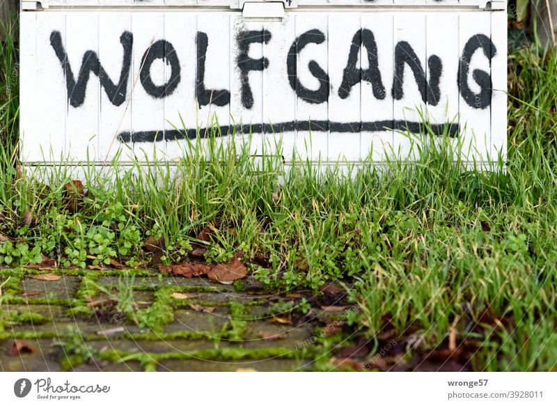 Vornamen | Entdeckung Thementag Wolfgang Menschenleer Farbfoto Außenaufnahme Tag Nahaufnahme Schriftzeichen Verteiler Verteilerkasten Graffito Graffiti