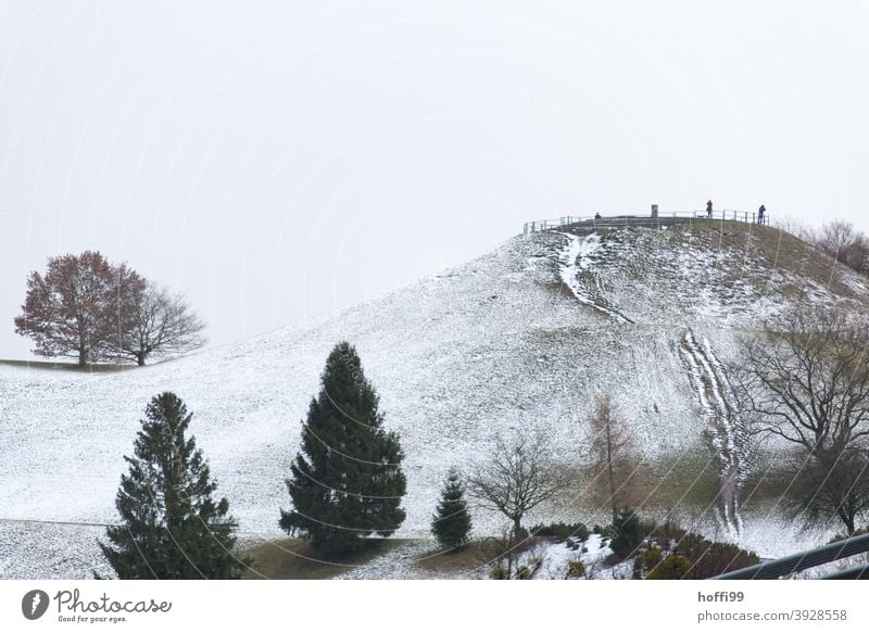 winterlich, hügelige Parklandschaft mit Bäumen und leichten Schneefall Winterstimmung Jahreszeiten Hügel nass nebelig trüber Tag Wolken Landschaft