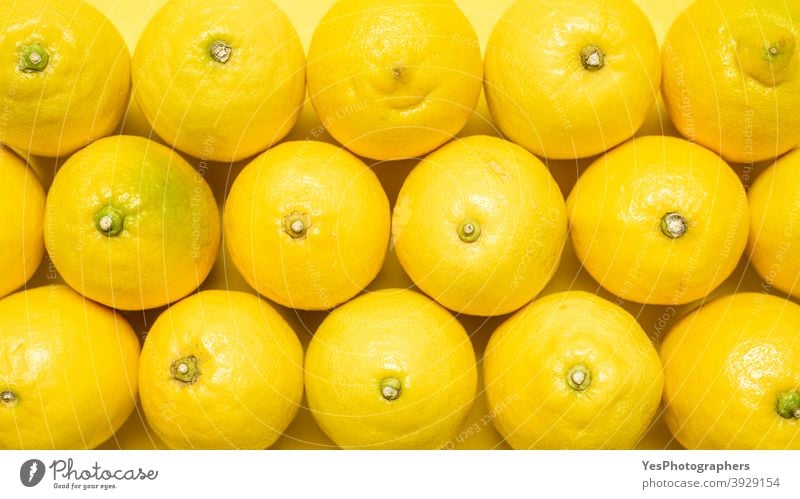Hintergrund von Zitronen, Ansicht von oben. Gelbes Muster mit Zitronen. 2021 obere Ansicht abstrakt Überfluss ausgerichtet hell Zitrusfrüchte Farbe Entzug Diät