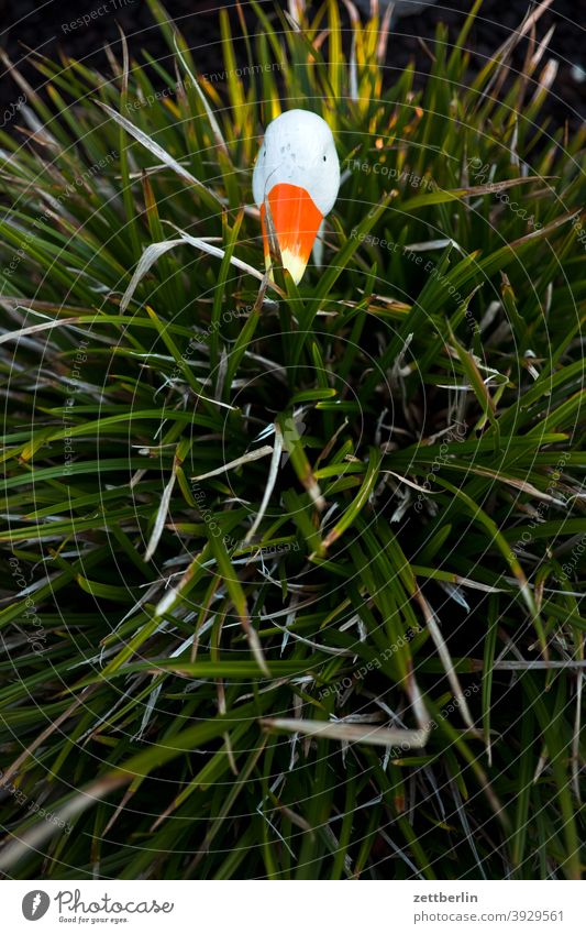 Dekogans im Gras gras garten grashalm busch büschel vogel deko dekoration tier portrait tierportrait plastik