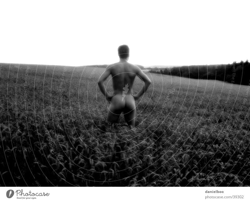 einsamkeit nackt Feld Panorama (Aussicht) Mann Ernte Hinterteil Natur groß