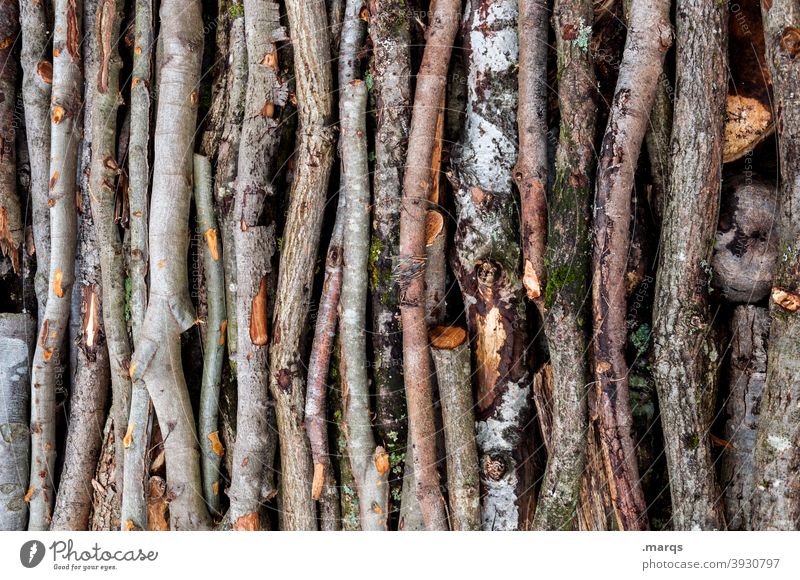 Äste viele Ast Baum Holz Abholzung Haufen braun Sammlung laublos natürlich Hartholz getrocknet Überfluss Umwelt Nutzholz Holzstapel Totholz Zweige u. Äste