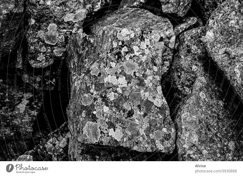 rhizocarpon geographicum Nummer fünf Steine texturiert gelb Oberfläche im Freien Berge u. Gebirge wachsend Indikator Umwelt Pilz Air Felsen Flechten filigran
