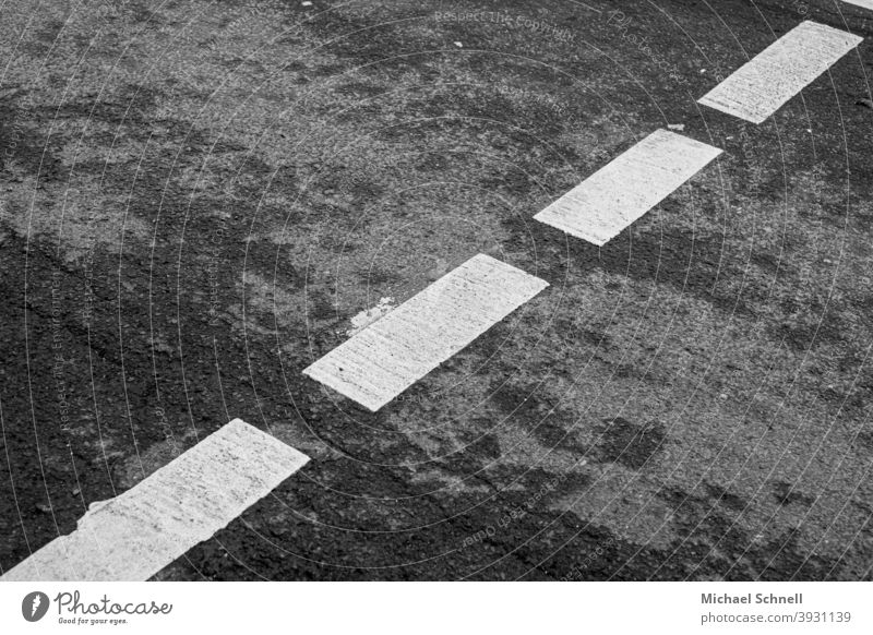 Fahrbahnmarkierung für Fußgängerübergang Markierung Markierungslinie Markierungen Schwarzweißfoto quer