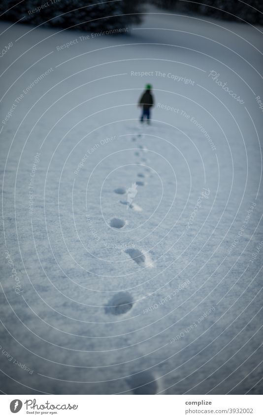 Spuren im Schnee Fährte verfolgen Winter Pulverschnee weiß laufen wandern Outdoor Wald kalt Fußspur verlaufen Verfolgung düster Schwäbische Alb