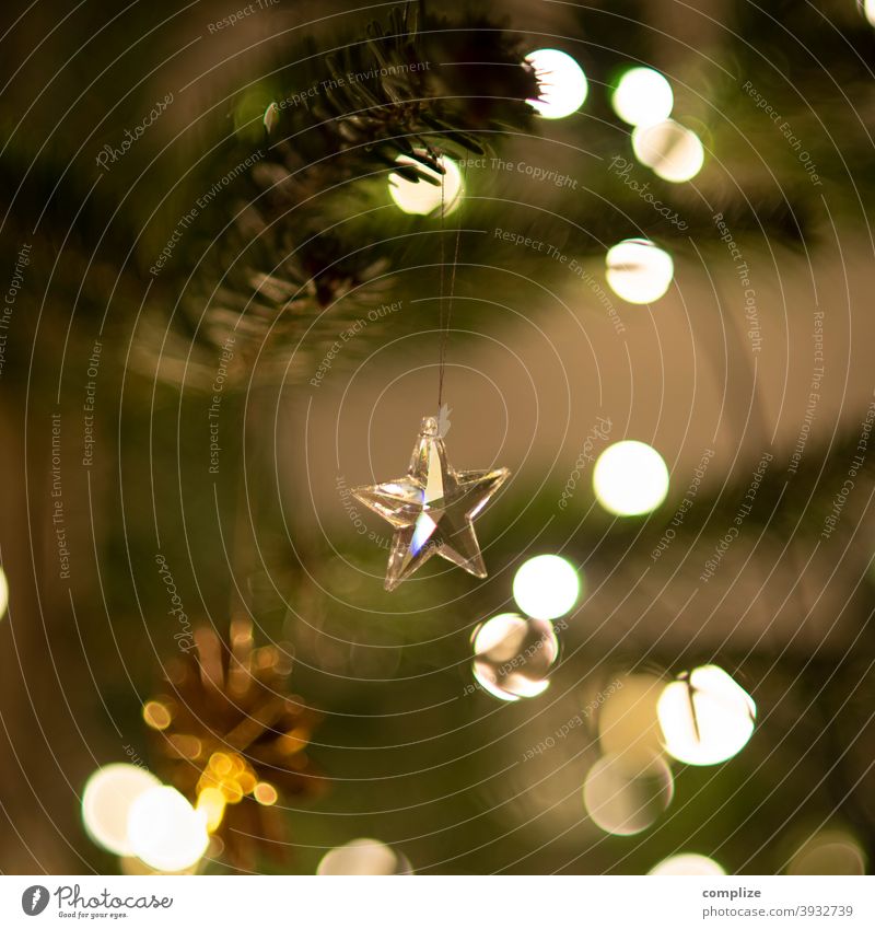 Glas-Stern am Weihnachtsbaum Engel Dekoration & Verzierung glizern Tanne Tannenzweig Nadeln Christbaumkugel Christbaumschmuck Lichterkette dekorieren
