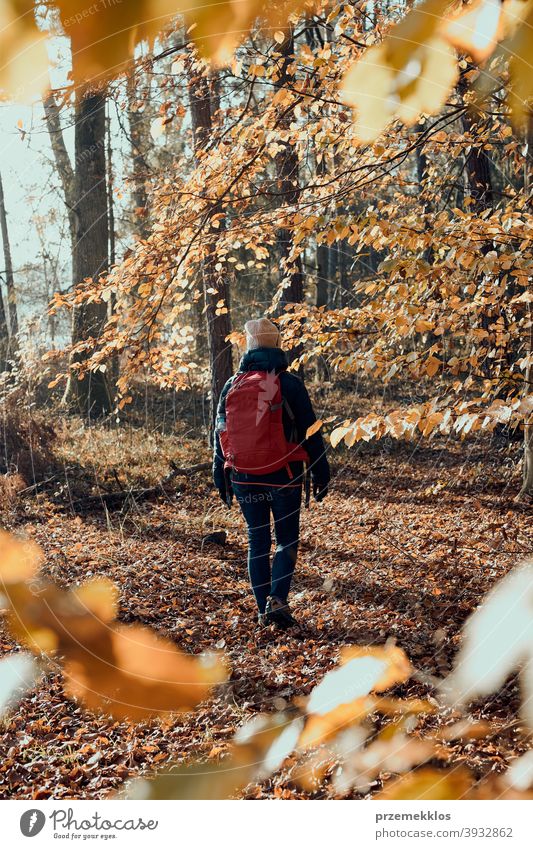 Frau mit Rucksack wandert an einem sonnigen Herbsttag in einem Wald aktiv Aktivität Abenteuer Backpacker Ausflugsziel genießen Erkundung erkunden fallen