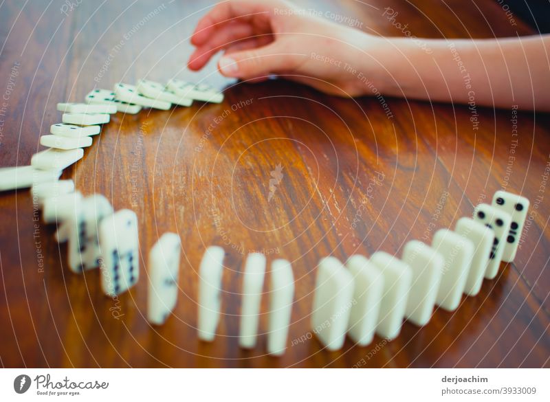 Domino das Gesellschaftspiel Dominosteine Spielen Farbfoto umfallen Spielzeug Freizeit & Hobby Finger Erfolg Hand Mensch Freude Bewegung Tag Kettenreaktion