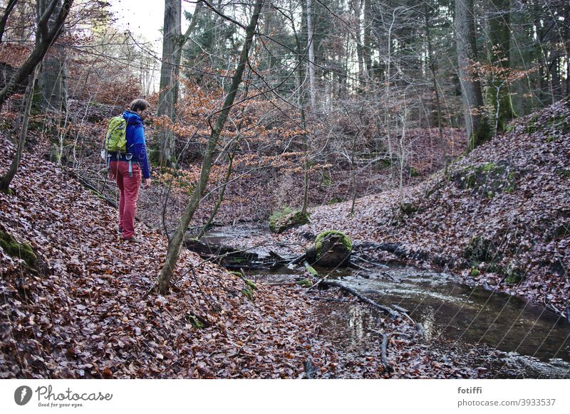Wald mit Mann mit Rucksack Idylle Bach bachlauf heimelig Natur Außenaufnahme Landschaft Wasser ruhig Laubwerk wasserlauf Herbst Wanderung herbstwanderung rot