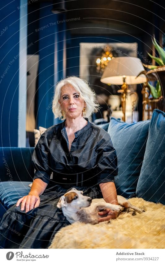 Stilvolle Frau mittleren Alters mit Hund ruht auf Sofa elegant zu Hause altehrwürdig sich[Akk] entspannen Haustier ruhen reif charmant Liege Lifestyle Komfort
