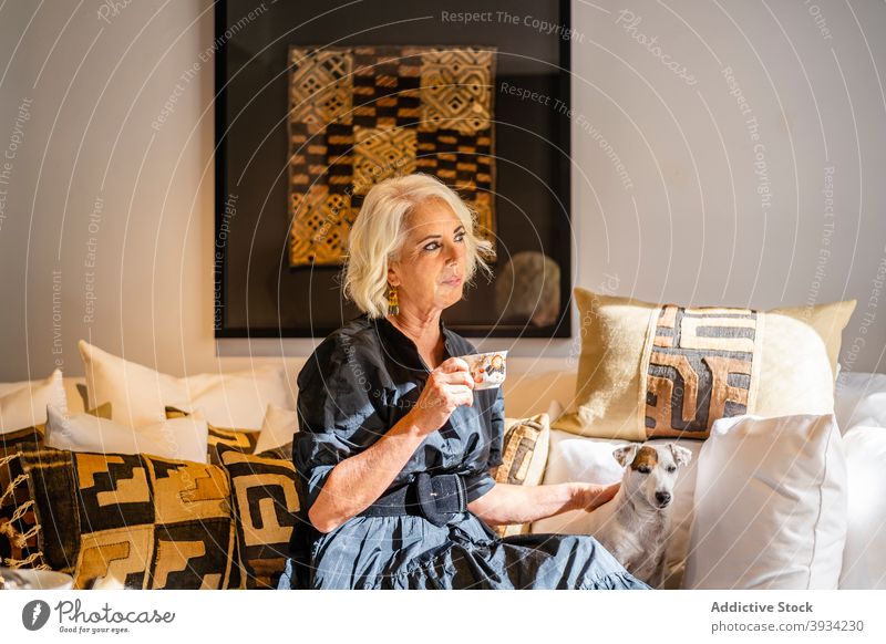 Frau mit Hund trinkt Kaffee auf Sofa ruhen trinken elegant Stil zu Hause besinnlich friedlich reif gemütlich Liege sich[Akk] entspannen ruhig Haustier Lifestyle