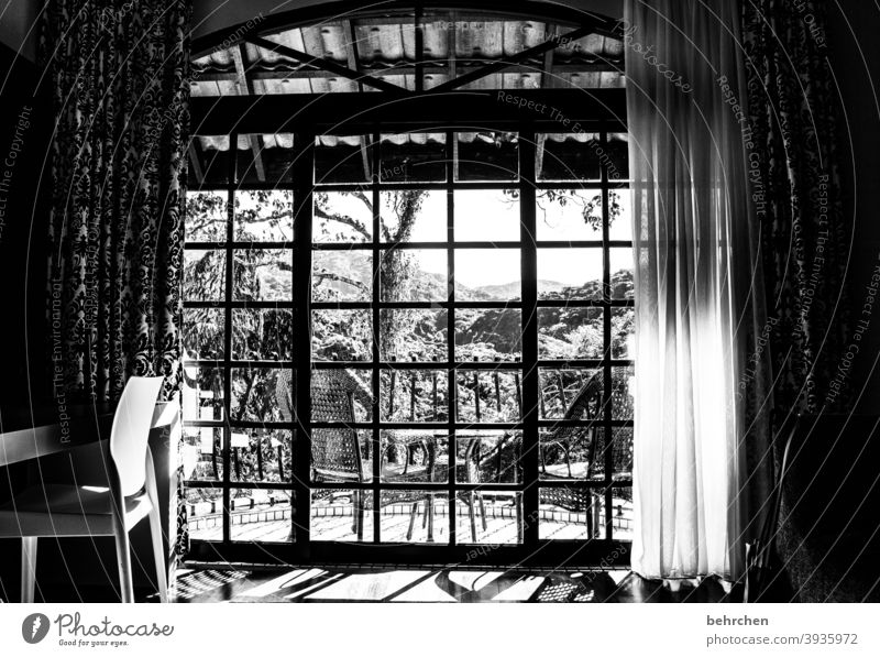 wenn die zeit still steht zimmer Hotelzimmer Vorhänge Gardine Fenster Stuhl Regenwald Malaysia ausblick Balkon Leben Idylle Ruhe nostalgisch traumhaft besonders