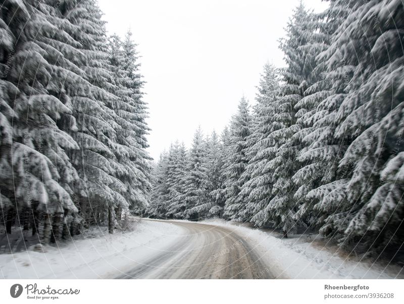 glatte schneebedeckte Straße in einem Waldgebiet straße wald tannen nadelbäume winter landschaft natur winterdienst räumen schieben salz gefahr gefährlich