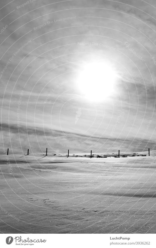 Schneelandschaft in Monochrom Zaun Zaunpfahl Wiese Sonne bedeckter himmel kalt Winter Außenaufnahme Menschenleer Himmel Sonnenlicht Schatten Frost Landschaft