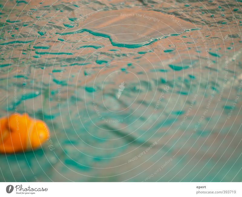 Der Tag an dem Nemo nicht mehr zurück ins Meer fand. Spielen Sommer Spielzeug Wasser Schwimmen & Baden nass Freude Comic Farbfoto Nahaufnahme