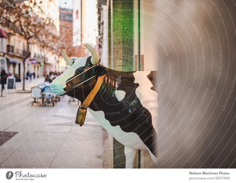 Lustige Kuh mit einer Maske im Eingang eines Lokals. Covid 19 Prävention. covid-19 Coronavirus Seuche Schutz sicher Sicherheit Gesundheit Infektion Pandemie