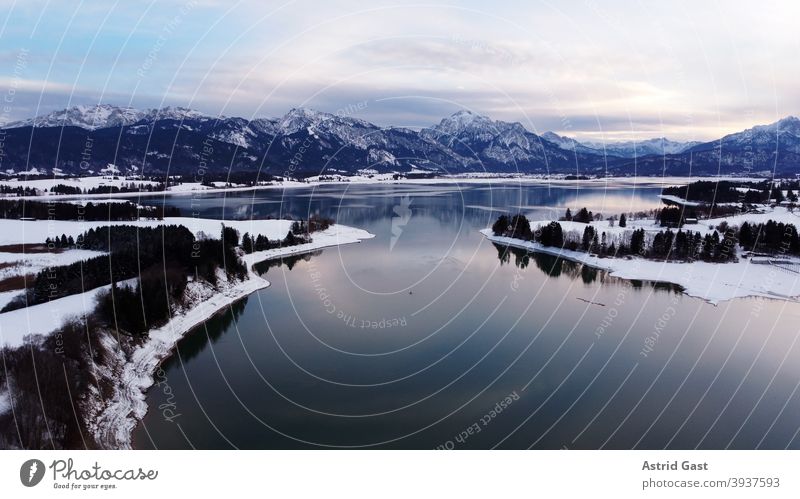 Luftaufnahme mit einer Drohne vom Forggensee im Allgäu im Winter in der blauen Stunde luftaufnahme drohnenfoto forggensee gewässer bayern allgäu stausee winter