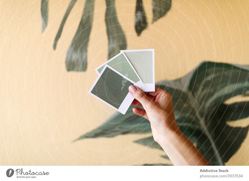 Crop Frau mit Papier Farbpalette in der Wohnung Designer Farbe Palette Probe Raum Innenbereich Stil Pastell grün Wand Fensterblätter kreativ Pflanze Dekor