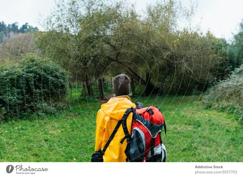 Reisender mit Rucksack im Wald an einem bedeckten Tag Wiese gelb Regenmantel Herbst Abenteuer Oberbekleidung Natur Asturien Spanien grün Wälder Fernweh Urlaub