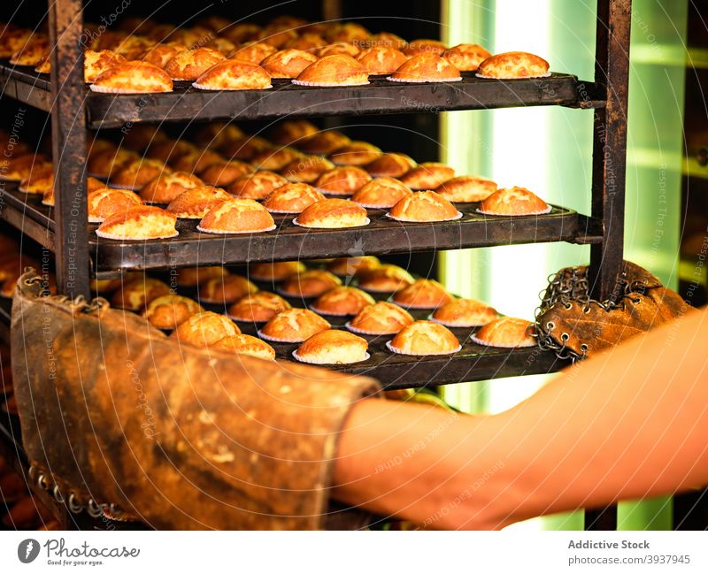 Bäcker trägt Regal mit frischem Gebäck Bäckerei Muffin Industrie Ablage gebacken professionell Lebensmittel Inszenierung Arbeit Kleinunternehmen Beruf