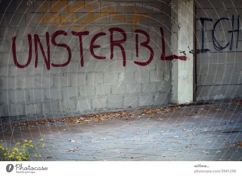 und plötzlich ist man nicht mehr unsterblich. Graffiti Wand Mauer Unsterblichkeit Leben Seele unvergänglich unbegrenzt Schriftzeichen Wort Buchstaben Text