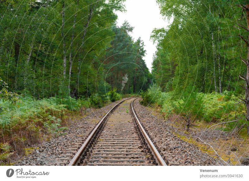 alte Eisenbahnstrecke in einem Wald in Deutschland Bahn Gleisbett Schienen bügeln Rust Eisenbahnschwellen Wälder Baum Bäume