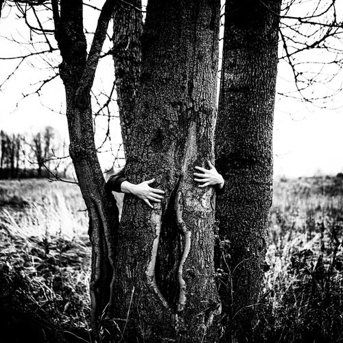 leicht öffnen Baum Hände menschlich Finger schwarz auf weiß Monochrom stechend rau Tanzen Symbolismus symbolische Kraft Symbole & Metaphern Landschaft posierend