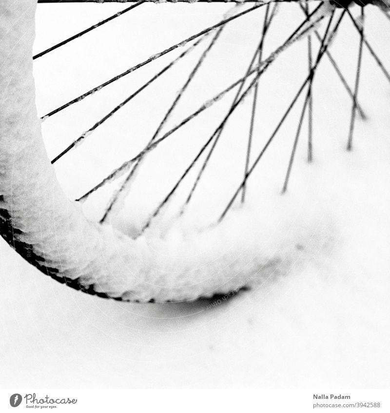 Fahrradreifen im Schnee analog Analogfoto Schwarzweißfoto Reifen Speichen Winter Außenaufnahme Rad Verkehr Nahaufnahme Felge Verkehrsmittel Mobilität