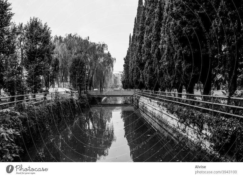 Kanal mit Wasser Italien Fluss Veneto Vicenza Bacchiglione Brücke Italienisch Großstadt Natur reisen im Freien fiume grün Himmel Landschaft Baum blau Europa