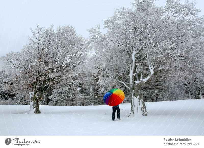 Winteranstrich winter schnee regenschirm weißkalt frau windbuchen schneebedeckt jahreszeit eisig bunt farblos farbenfroh regenbogen winterspaziergang kunst kahl
