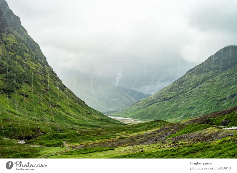 Grüne, wolkenverhangene Hügel Berge u. Gebirge hügelig bergig Landschaft Natur Wiese grün Wolken Gras Hochland Regen trüb Schottland wandern ruhig