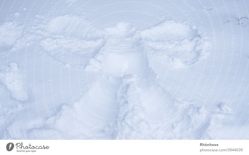 Ein Schneeengel Winter kalt weiß Menschenleer Außenaufnahme Farbfoto Engel schneeengel Schneedecke Flügel liegen Freude klein groß gefroren Eis Tag Kontrast