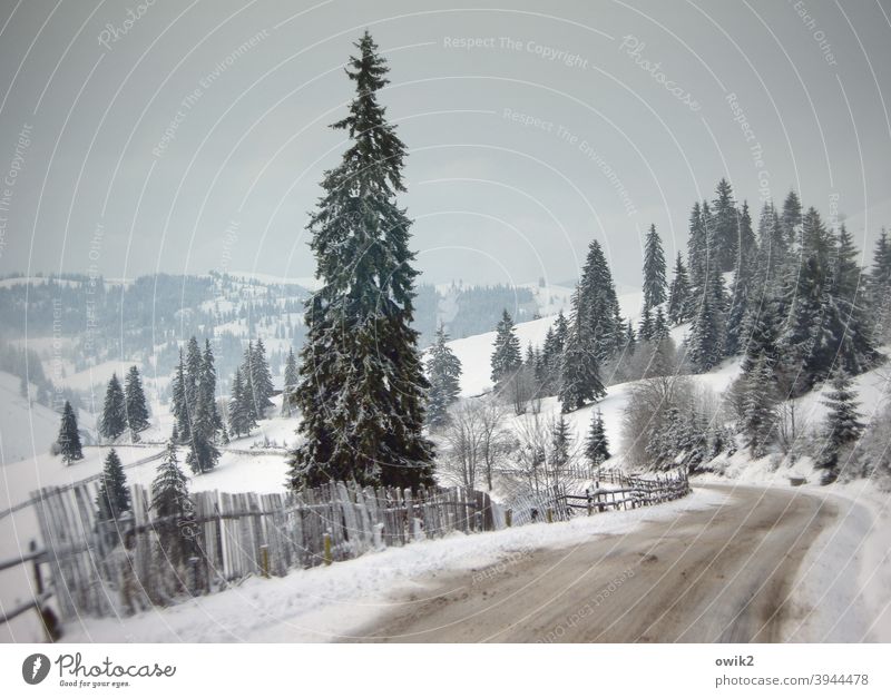 Über die Karpaten Landschaft Winter Horizont Natur Umwelt Himmel Reiseroute Reisefotografie Ferne Berge u. Gebirge Idylle Pass Farbfoto Gedeckte Farben