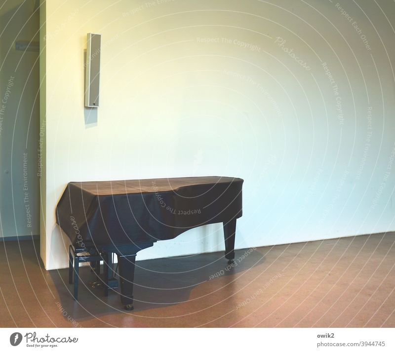 Stilles Konzert Klavier Innenaufnahme Musikinstrument Tasteninstrumente Freizeit & Hobby Nahaufnahme Gedeckte Farben Raum Konzertsaal Wand Fußboden Ecke
