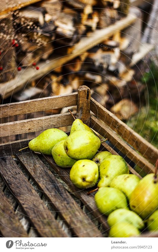 Birnen im Herbst Obstkorb Korb herbstlich Essen regional Wochenmarkt Dekoration & Verzierung Natur Bioprodukte Essen zum Mitnehmen