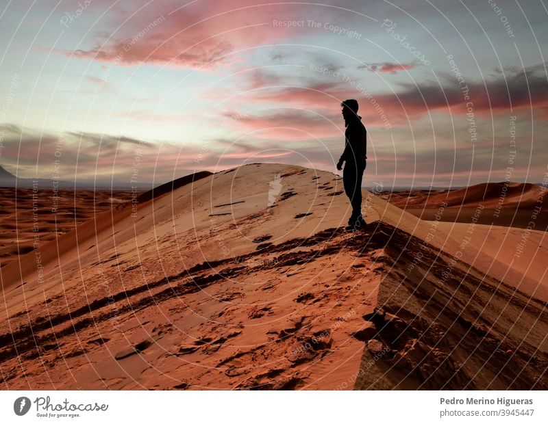 Person in der Sahara Dessert Sonnenuntergang Silhouette wüst Himmel Strand Morgendämmerung Landschaft Natur Sand Menschen reisend Freiheit Abenteuer laufen