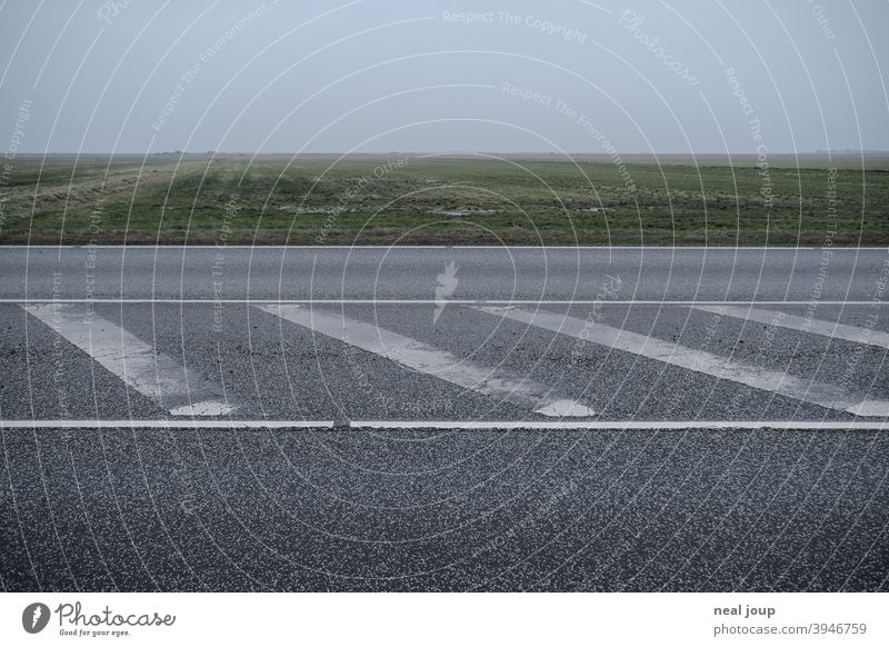 Horizontlinie mit waagerechten Fahrbahnmarkierungen landschaft Ebene Nebel diffus Natur Menschenleer Außenaufnahme Verkehrswege Straße Asphalt grau weiß dunkel